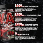 A pre-workout supplement tub labeled 'Bulging Berries' with a black background and white and red text detailing its ingredients and benefits, including 8,000 mg L-citrulline and 2,000 mg agmatine sulfate.